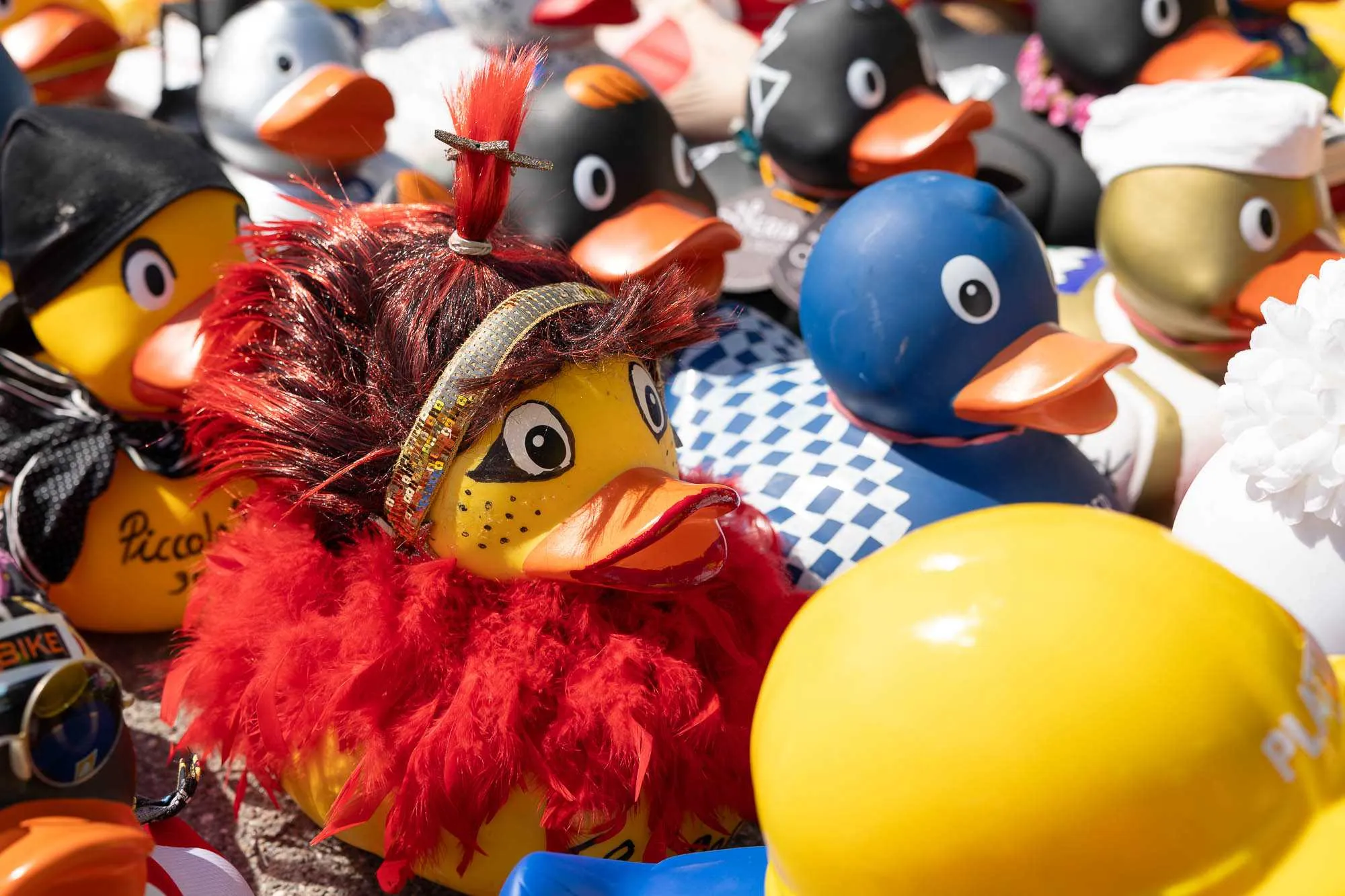 Entenrennen 2024 - Start des Rennens