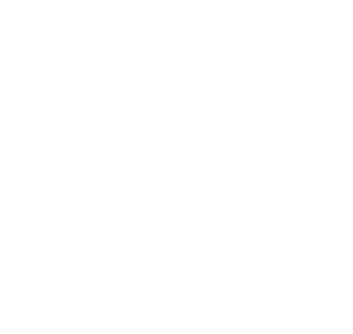 Lions Club International Emblem