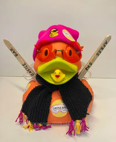 Ente von Castle Bar
