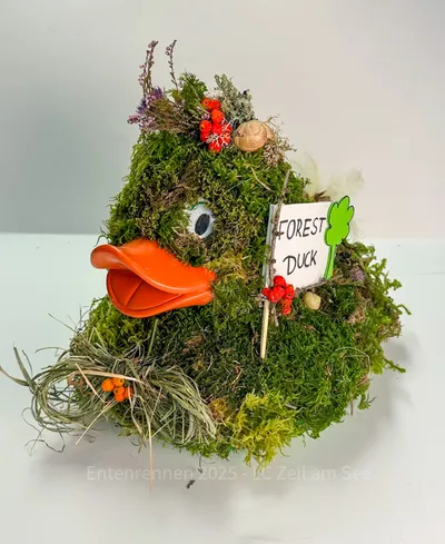 Ente von Claudia Embacher
