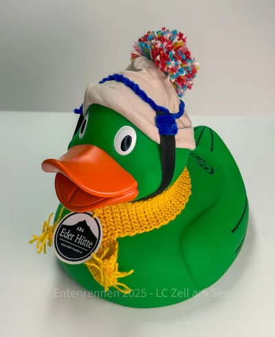 Ente von Eder Hütte