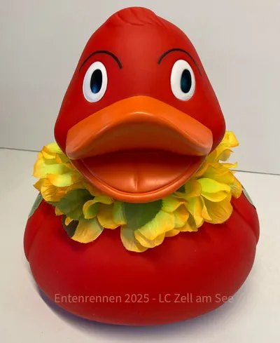 Ente von Eder Sepp