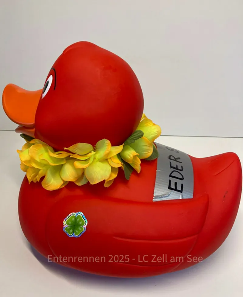 Eder Sepp von Eder Sepp - Foto 2
