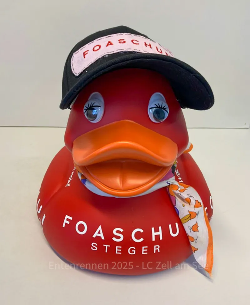 FOASCHUI Steger 1 von FOASCHUI Steger - Foto 1