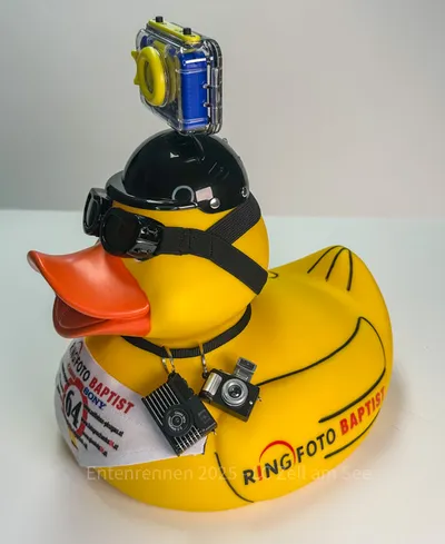 Ente von Foto Baptist