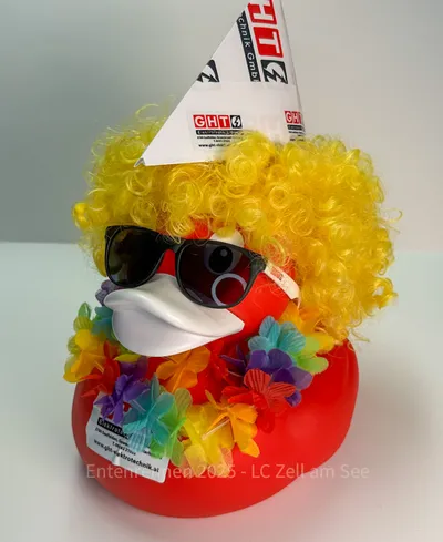 Ente von GHT Elektrotechnik