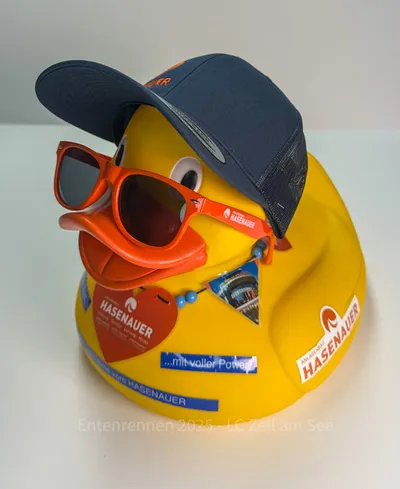 Ente von Hasenauer Anlagenbau