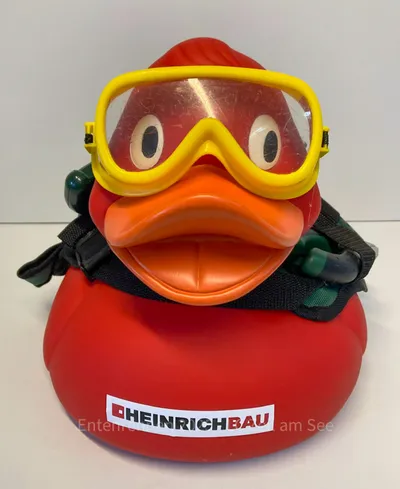 Ente von Heinrich Bau