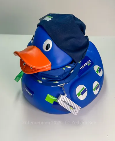 Ente von Herzog Bau