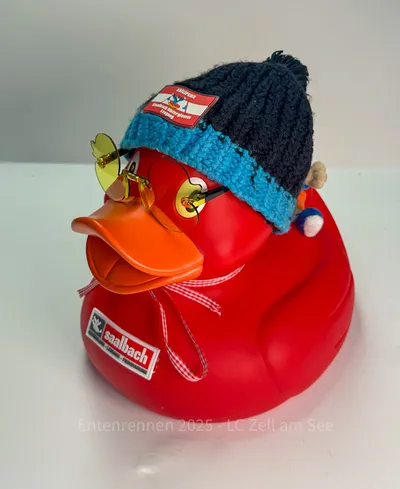 Ente von Hinterglemmer Bergbahnen
