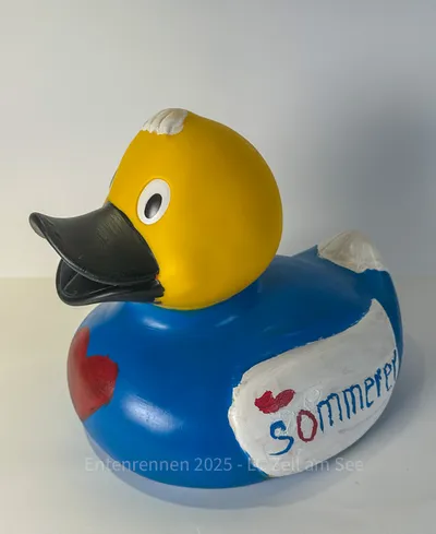 Ente von Installationen Sommerer