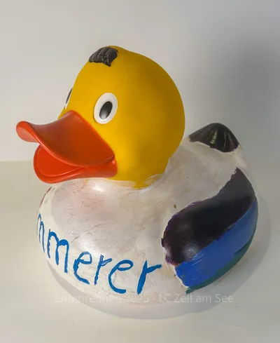 Ente von Installationen Sommerer
