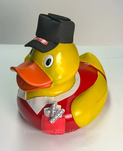 Ente von Kraft + Wärme