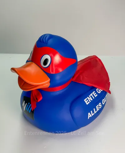 Ente von Nill Grafik