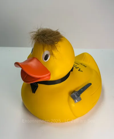 Ente von Nilsson Gmbh