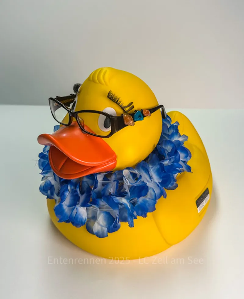 Optik Plörer von Optik Plörer - Foto 1