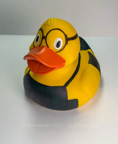 Ente von P. E. Anderson
