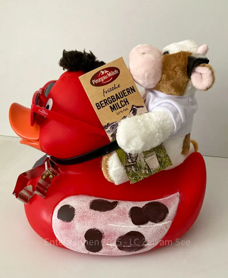 Pinzgau Milch von Pinzgau Milch - Foto 2