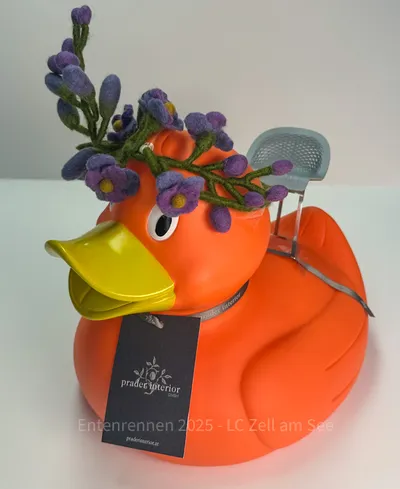 Ente von Prader Interior
