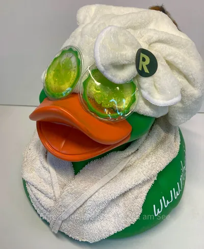 Ente von Ritzenhof