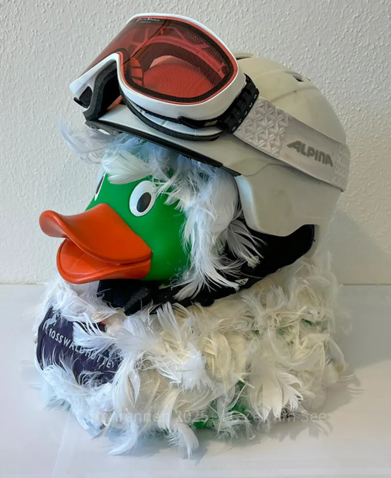 Rosswoidwinterracingduck von Rosswaldhütte - Foto 1