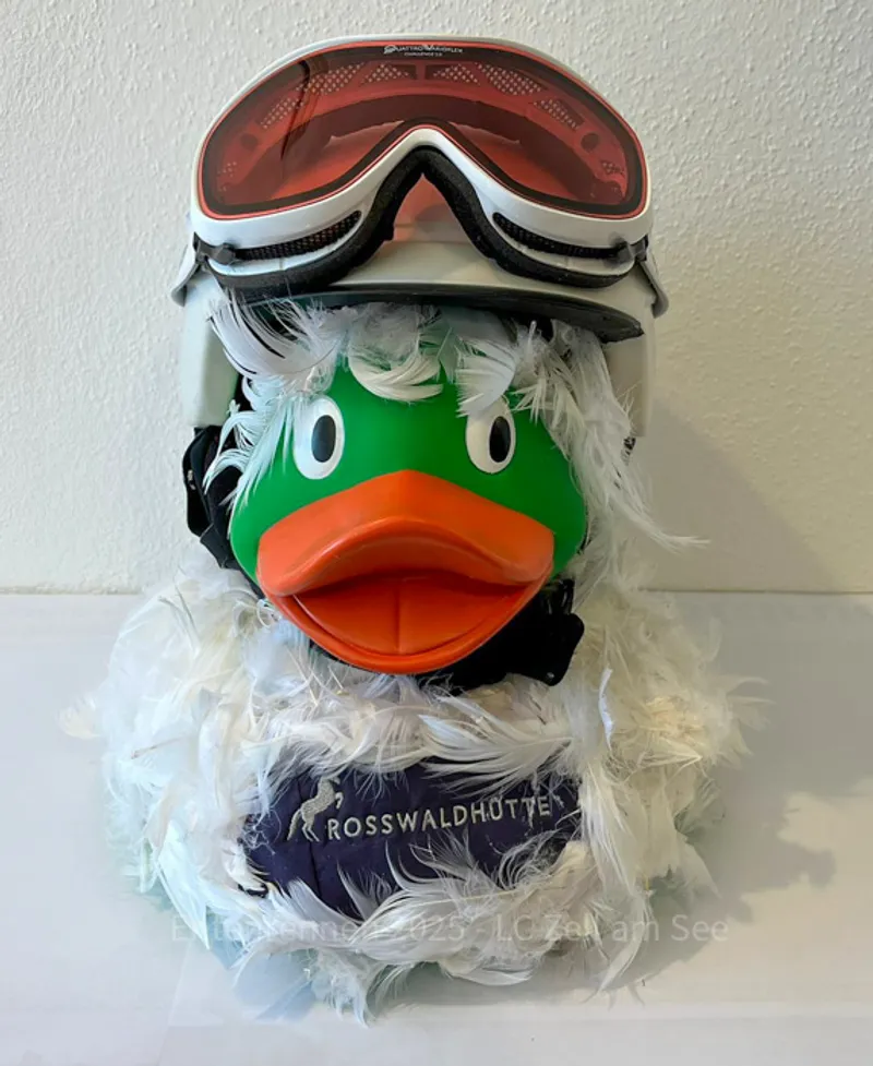 Rosswoidwinterracingduck von Rosswaldhütte - Foto 2