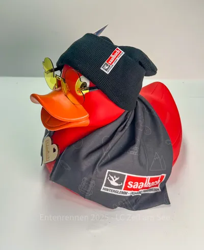 Ente von Saalbacher Bergbahnen