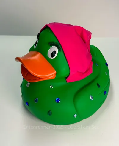 Ente von Schmittenhöhenbahn AG
