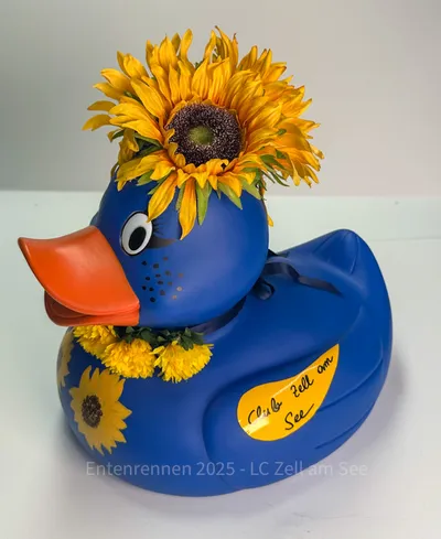 Ente von Soroptomist Club Zell am See/Pinzgau
