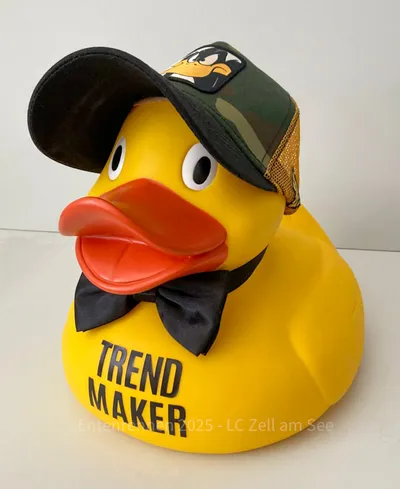 Ente von Trendmaker