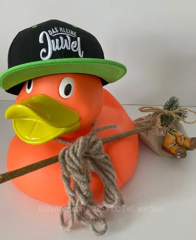 Ente von TVB Maishofen