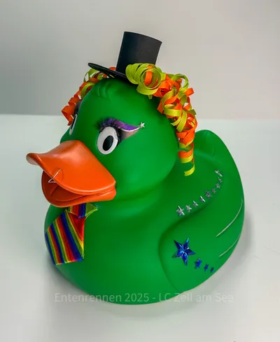 Ente von Ulrike Jaros
