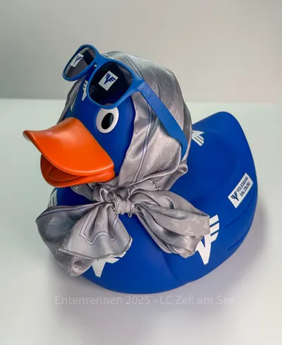 Ente von Volksbank Zell am See