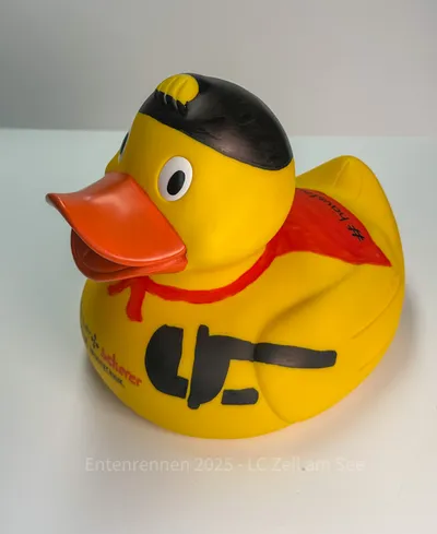 Ente von Wieser & Scherer Haustechnik