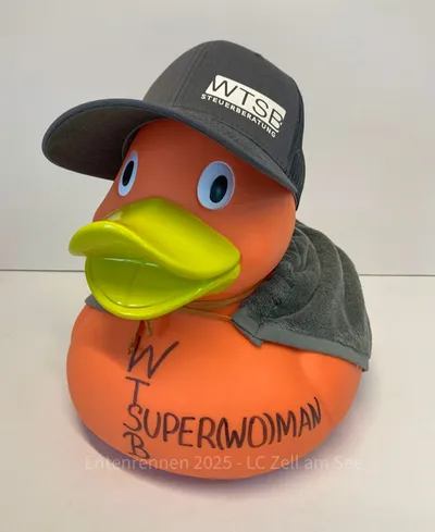 Ente von WTSB Steuerberatungs GmbH
